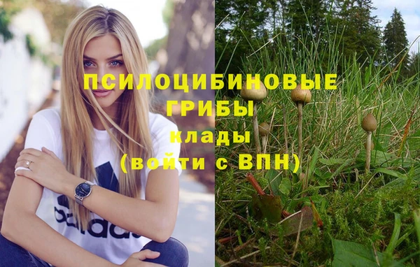 СК Алексеевка