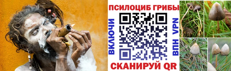 Галлюциногенные грибы мухоморы  darknet наркотические препараты  Коряжма 